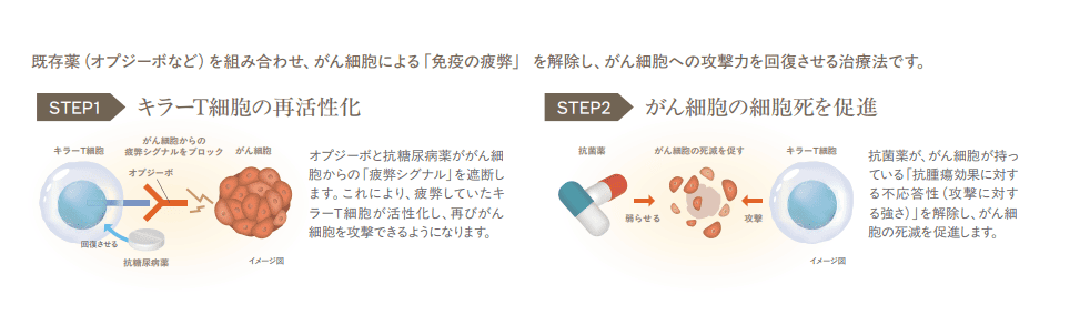 がん代謝免疫療法の考え方と特徴